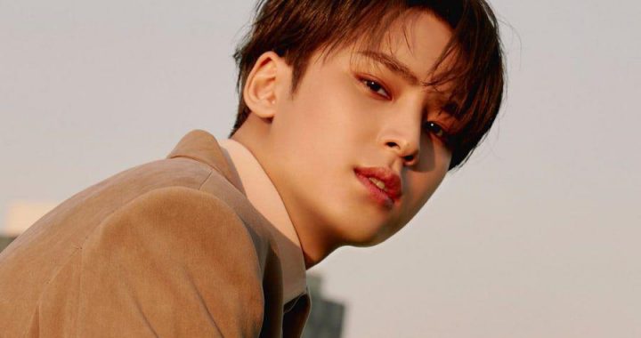 Pledis Entertainment อัพเดตข้อมูลเพิ่มเติมเกี่ยวกับการสืบสวนข่าวลือของมินกยู(Mingyu) วง SEVENTEEN