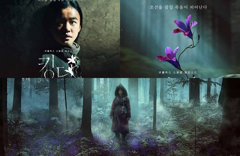 Kingdom: Ashin Of The North