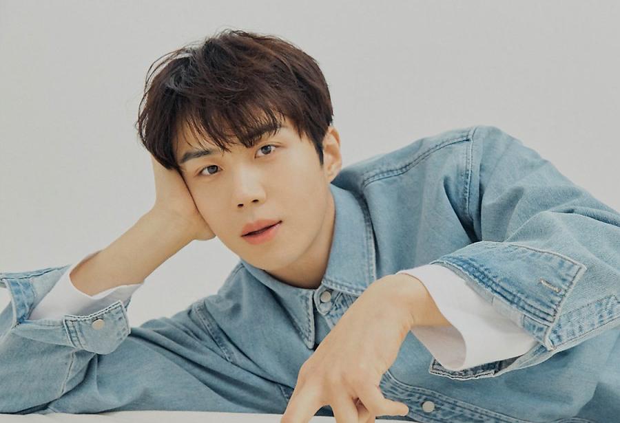 คิมซอนโฮ(Kim Seon Ho)